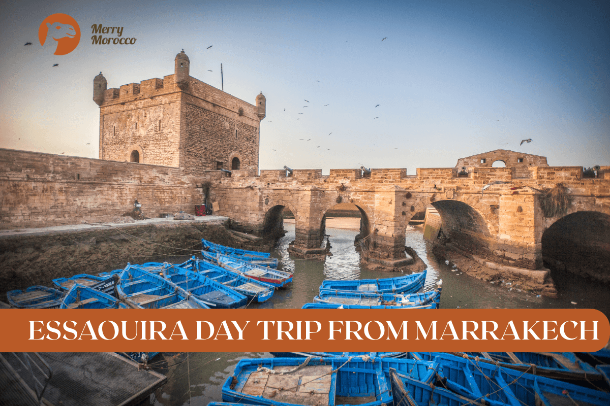 Essaouira day trip from Marrakech