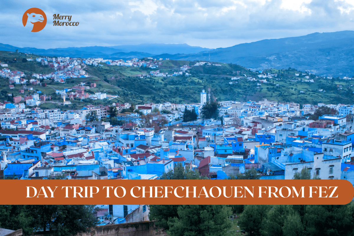 Day trip to Chefchaouen the blue city from Fez