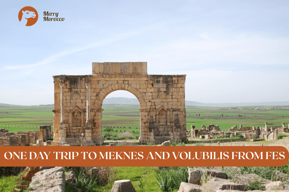 Day trip to Meknes and Volubilis from Fez