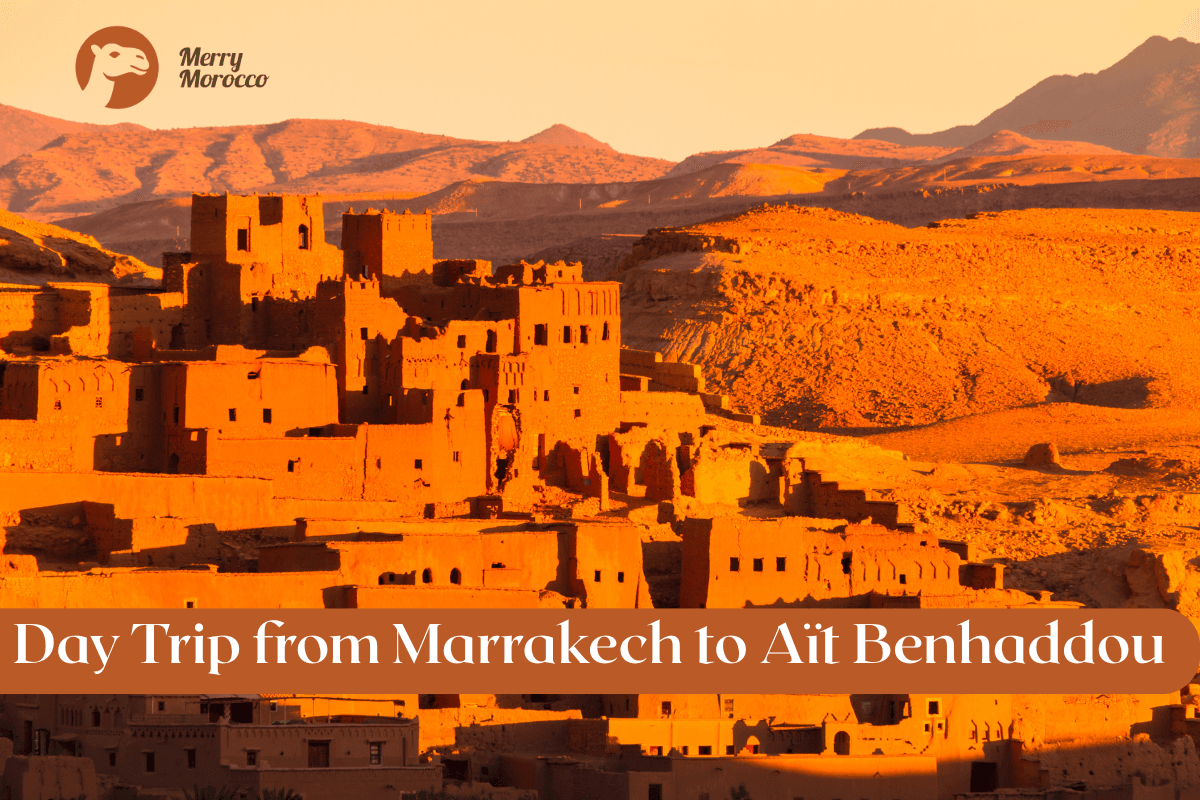 View over Marrakech at golden hour