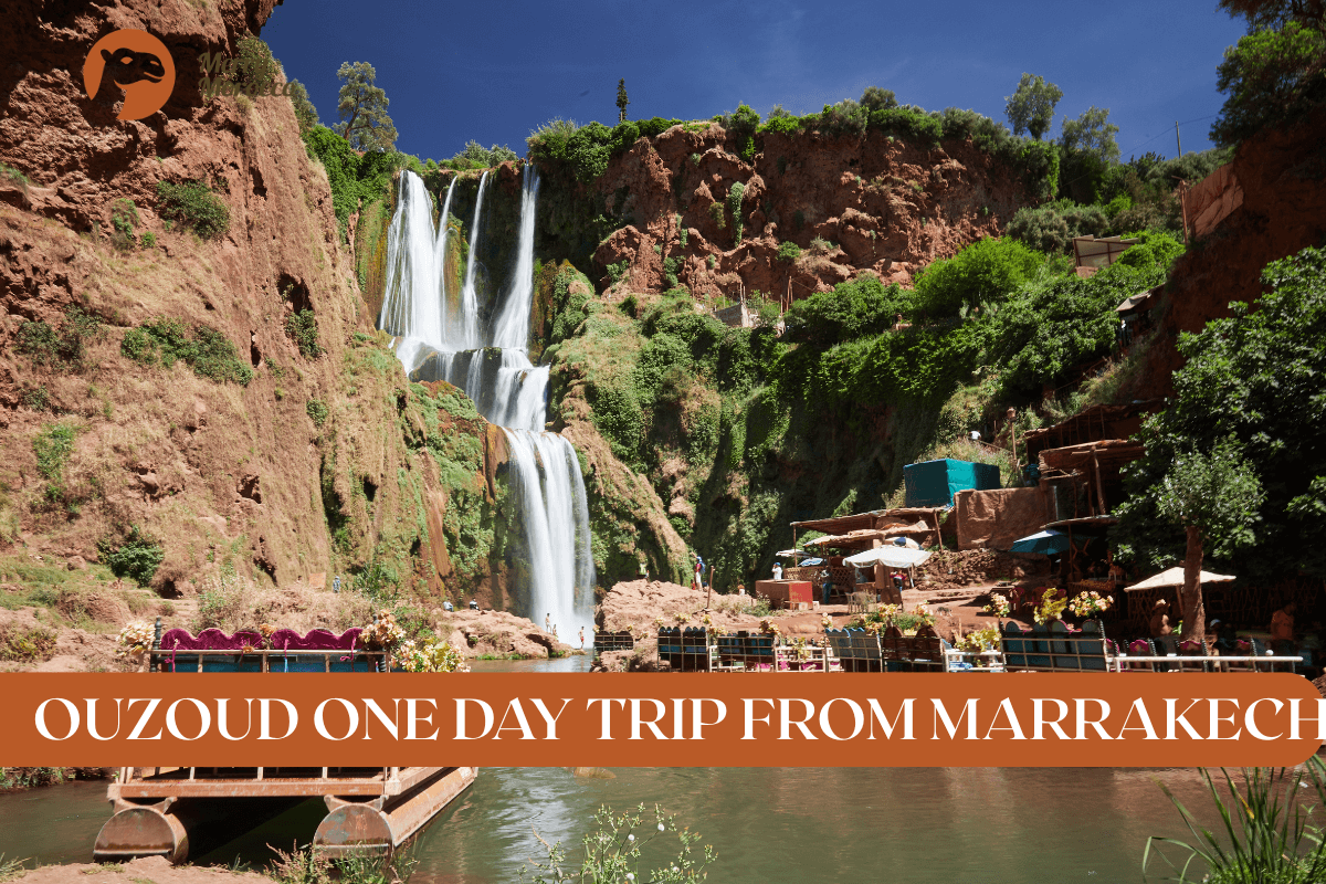 Day trip from Marrakech to Ouzoud Waterfalls