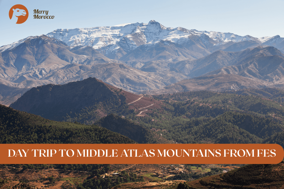 Day trip to the Middle Atlas Mountains from Fez